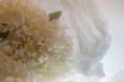 Close-up of flower Art Print